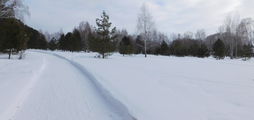 Зима в Садовке